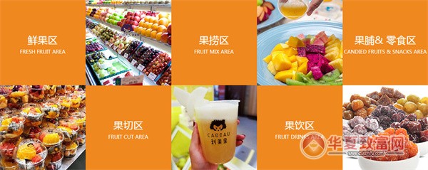 刺果果加盟